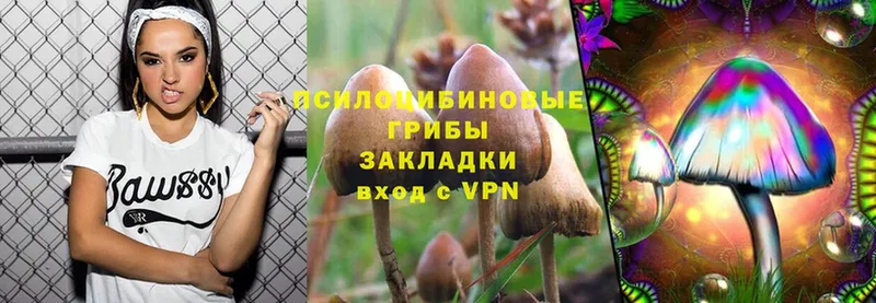 Галлюциногенные грибы Magic Shrooms  Жуков 